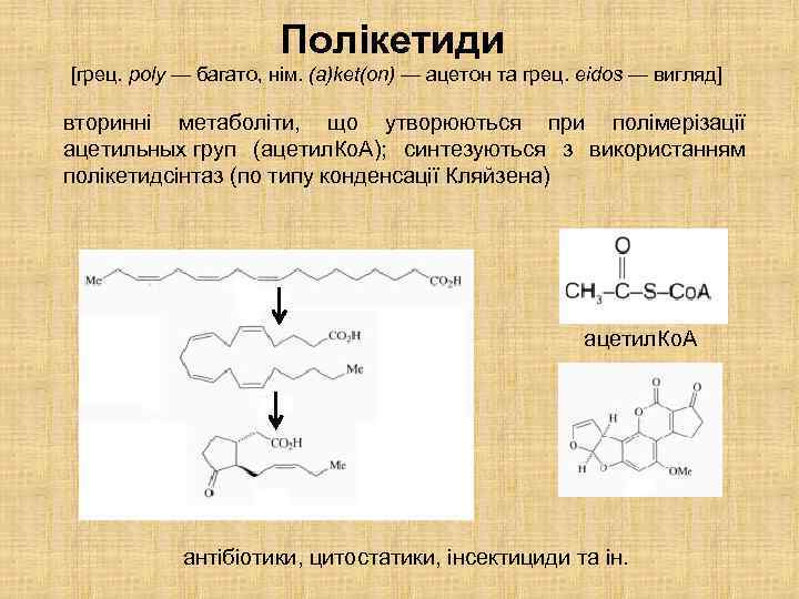 Полікетиди [грец. poly — багато, нім. (a)ket(on) — ацетон та грец. eidos — вигляд]