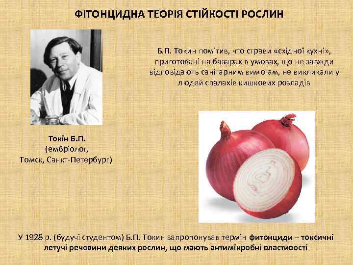 ФІТОНЦИДНА ТЕОРІЯ СТІЙКОСТІ РОСЛИН Б. П. Токин помітив, что страви «східної кухні» , приготовані