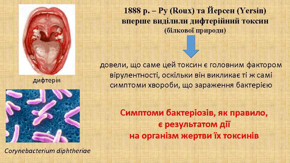 1888 р. – Ру (Roux) та Йерсен (Yersin) вперше виділили дифтерійний токсин (білкової природи)