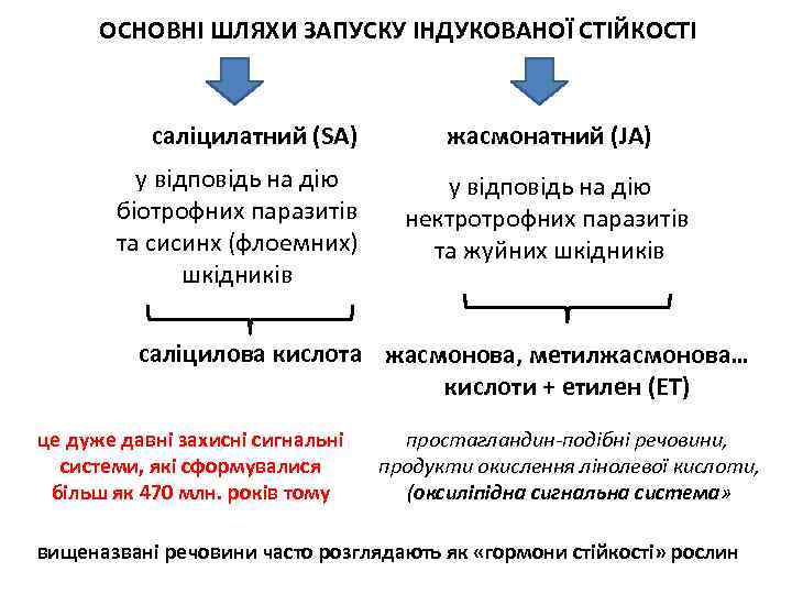 ОСНОВНІ ШЛЯХИ ЗАПУСКУ ІНДУКОВАНОЇ СТІЙКОСТІ саліцилатний (SA) у відповідь на дію біотрофних паразитів та