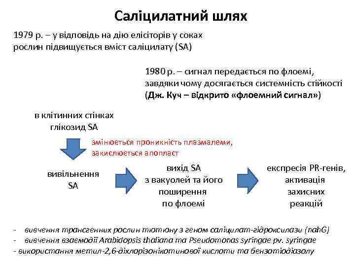 Саліцилатний шлях 1979 р. – у відповідь на дію елісіторів у соках рослин підвищується