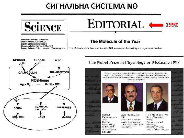 СИГНАЛЬНА СИСТЕМА NO 1992 