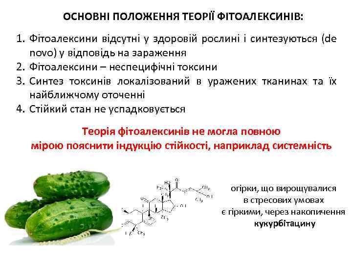 ОСНОВНІ ПОЛОЖЕННЯ ТЕОРІЇ ФІТОАЛЕКСИНІВ: 1. Фітоалексини відсутні у здоровій рослині і синтезуються (de novo)