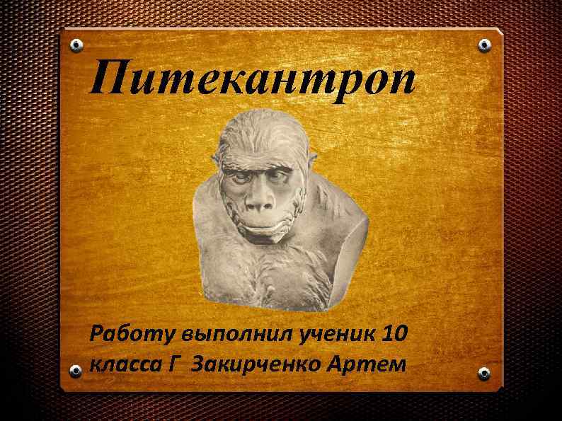 Питекантроп Работу выполнил ученик 10 класса Г Закирченко Артем 