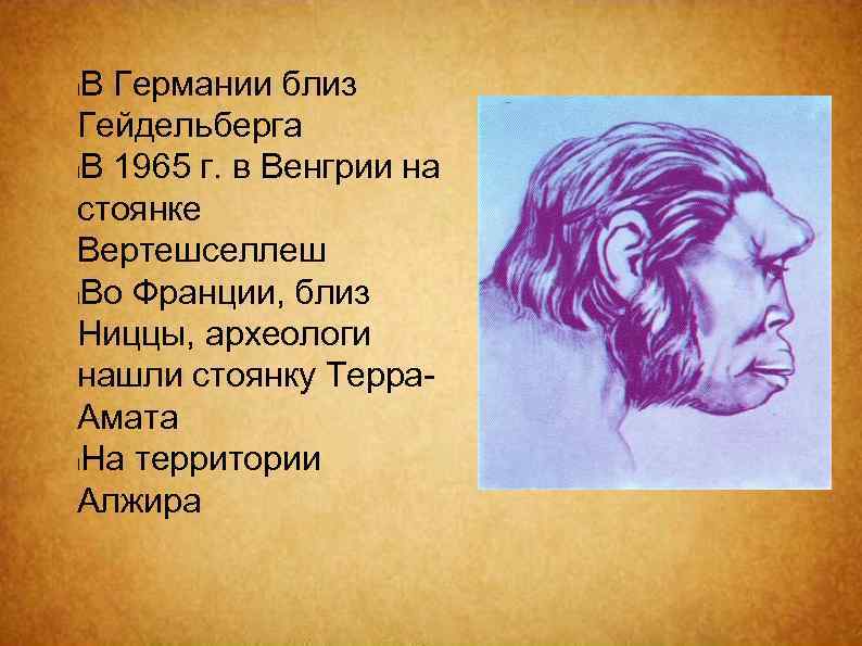 В Германии близ Гейдельберга l. В 1965 г. в Венгрии на стоянке Вертешселлеш l.