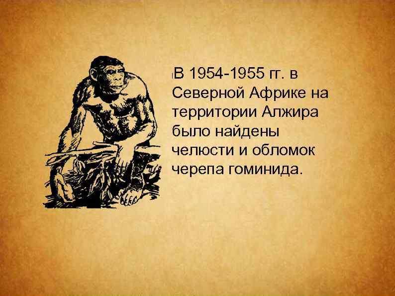 В 1954 -1955 гг. в Северной Африке на территории Алжира было найдены челюсти и