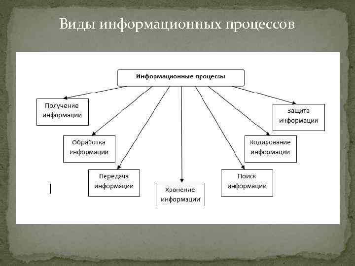  Виды информационных процессов 