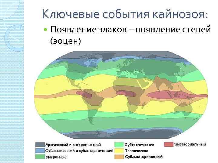 Ключевые события кайнозоя: Появление злаков – появление степей (эоцен) 