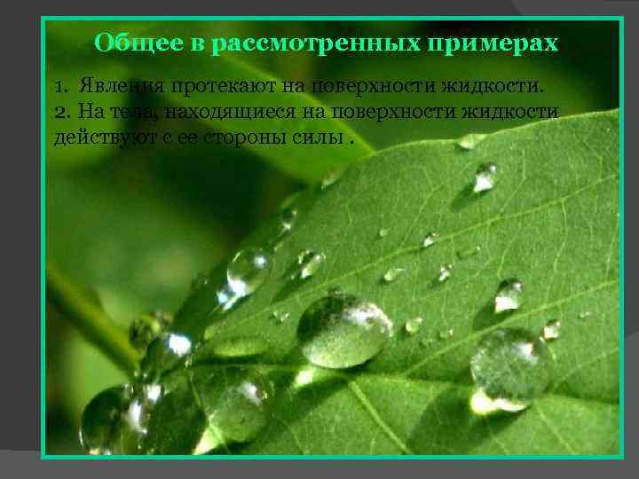 Общее в рассмотренных примерах 1. Явления протекают на поверхности жидкости. 2. На тела, находящиеся