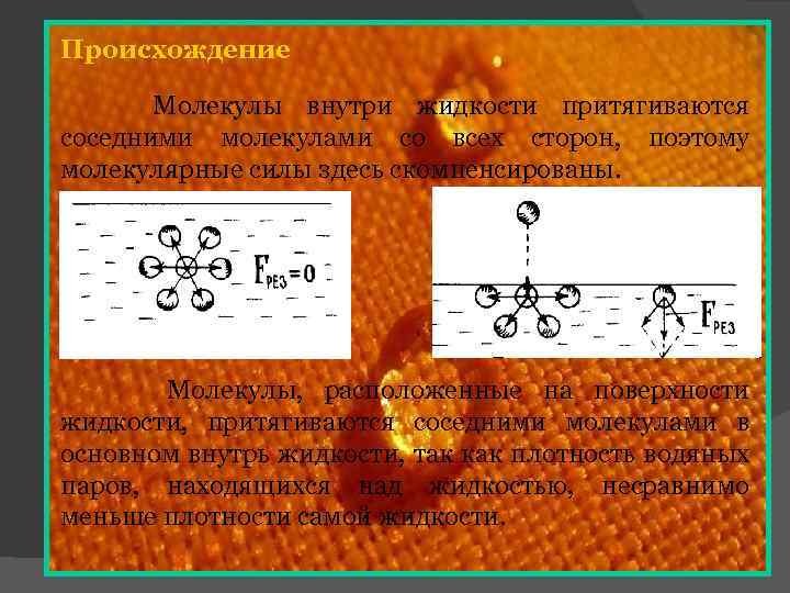 Происхождение Молекулы внутри жидкости притягиваются соседними молекулами со всех сторон, поэтому молекулярные силы здесь