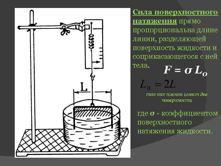 Сила поверхностного натяжения прямо пропорциональна длине линии, разделяющей поверхность жидкости и соприкасающегося с ней