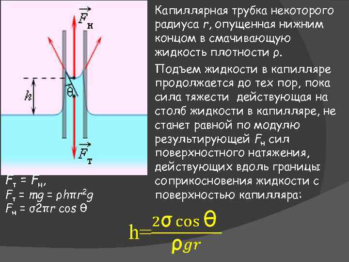 Капиллярная трубка некоторого радиуса r, опущенная нижним концом в смачивающую жидкость плотности ρ. Подъем