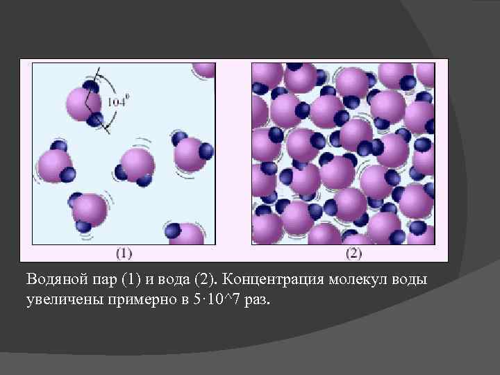 Водяной пар (1) и вода (2). Концентрация молекул воды увеличены примерно в 5· 10^7