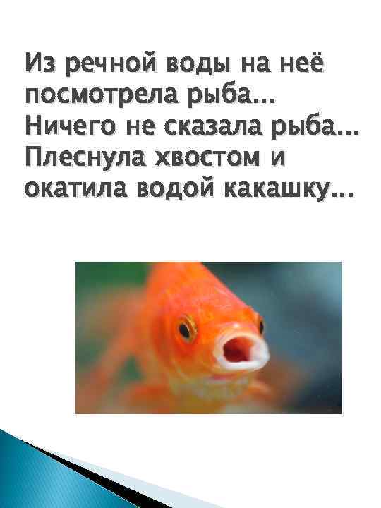 Притча о рыбке. Рыбы разговаривают. Рыба говорит. Рыба ничего. Рыбка говорит.