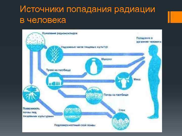 Источники попадания радиации в человека 