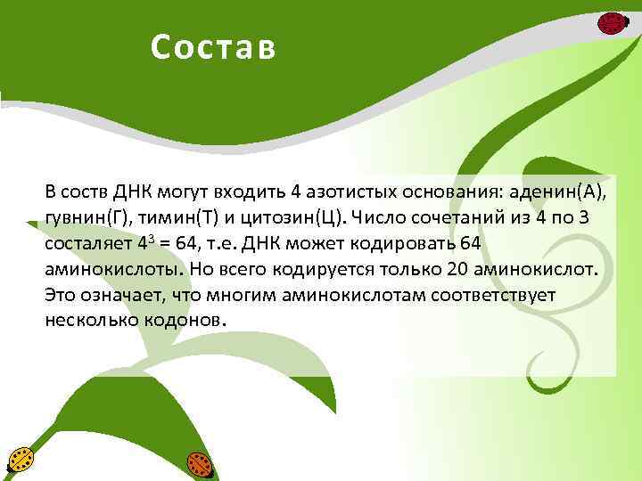 Состав В соств ДНК могут входить 4 азотистых основания: аденин(А), гувнин(Г), тимин(Т) и цитозин(Ц).