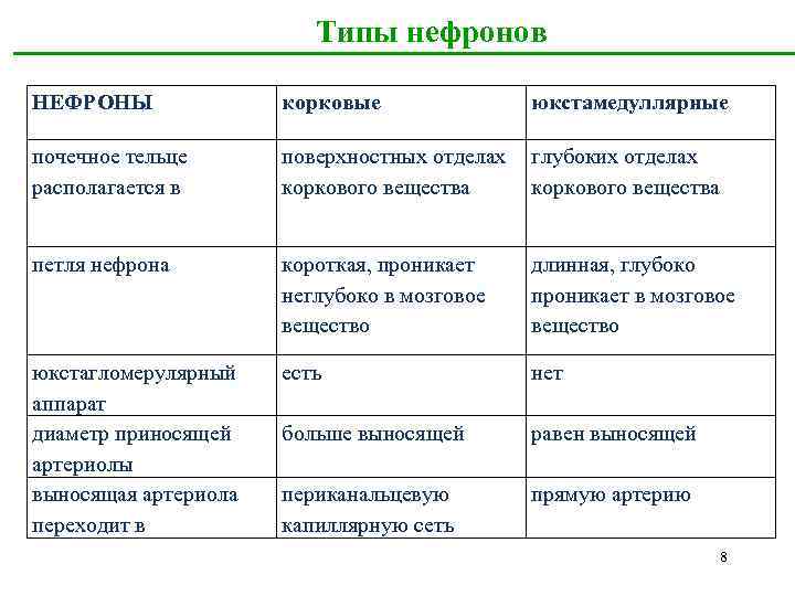  Типы нефронов НЕФРОНЫ корковые юкстамедуллярные почечное тельце располагается в поверхностных отделах коркового вещества
