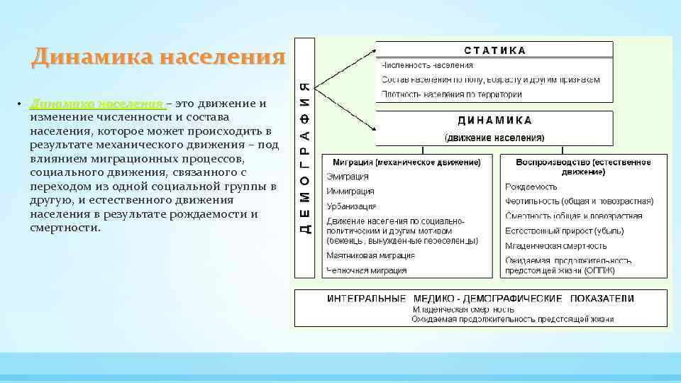 Какого значение населения. Медицинская демография схема. Медицинская демография изучает схема. Статика и динамика населения. Виды динамики населения.