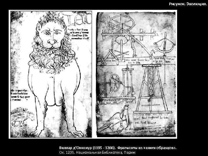 Рисунок. Эволюция. Виллар д’Оннекур (1195 - 1266). Фрагменты из «книги образцов» . Ок. 1235.