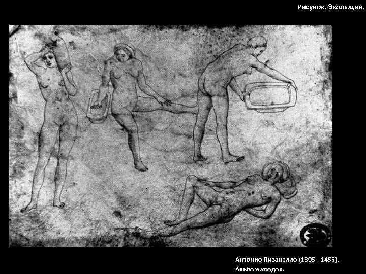 Рисунок. Эволюция. Антонио Пизанелло (1395 - 1455). Альбом этюдов. 