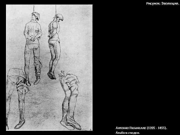 Рисунок. Эволюция. Антонио Пизанелло (1395 - 1455). Альбом этюдов. 
