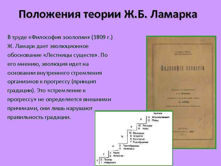 Положения теории Ж. Б. Ламарка В труде «Философия зоологии» (1809 г. ) Ж. Ламарк