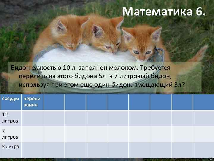 Математика 6. Бидон емкостью 10 л заполнен молоком. Требуется перелить из этого бидона 5