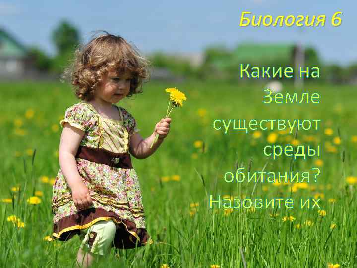 Биология 6 Какие на Земле существуют среды обитания? Назовите их 