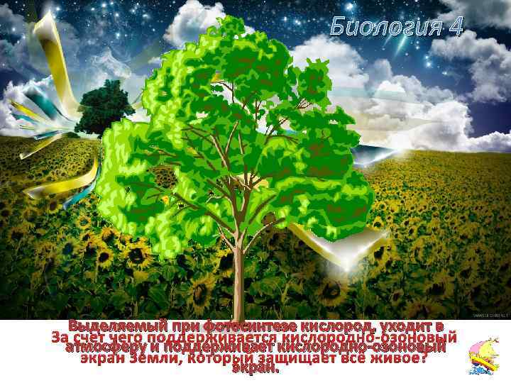Биология 4 Выделяемый при фотосинтезе кислород, уходит в За счет чего поддерживается кислородно-озоновый атмосферу