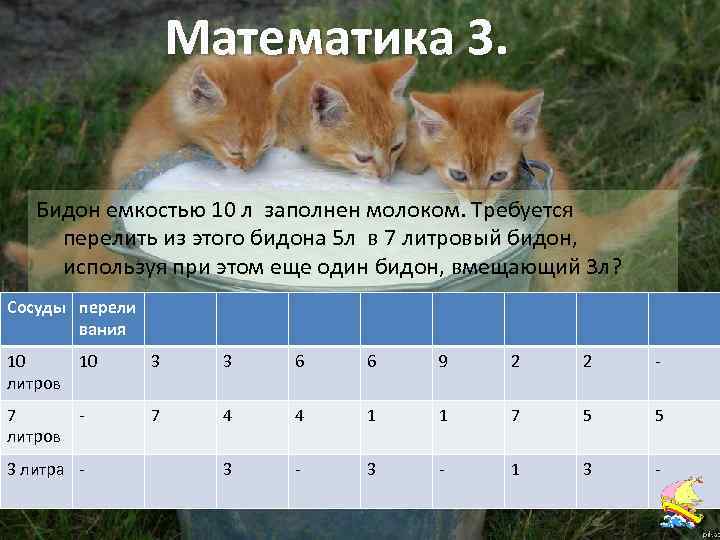 Математика 3. Бидон емкостью 10 л заполнен молоком. Требуется перелить из этого бидона 5