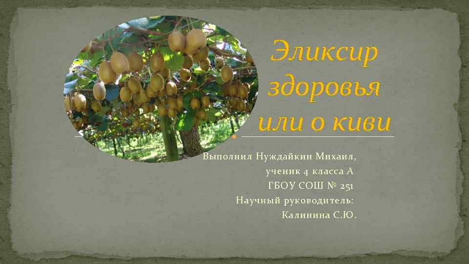 Эликсир здоровья или о киви Выполнил Нуждайкин Михаил, ученик 4 класса А ГБОУ СОШ
