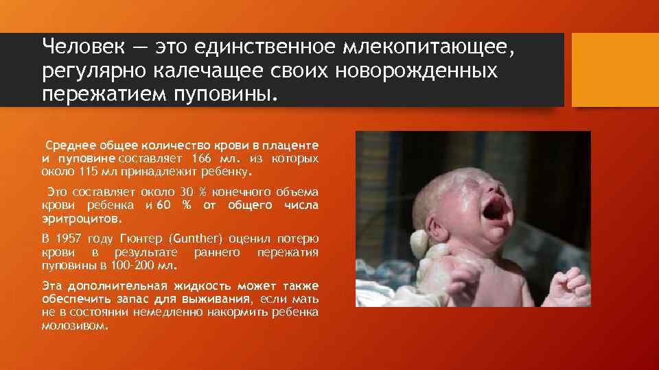 Человек — это единственное млекопитающее, регулярно калечащее своих новорожденных пережатием пуповины. Среднее общее количество