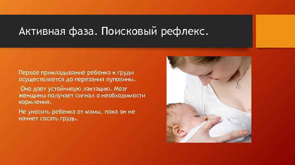 Активная фаза. Поисковый рефлекс. Первое прикладывание ребенка к груди осуществляется до перезания пуповины. Оно