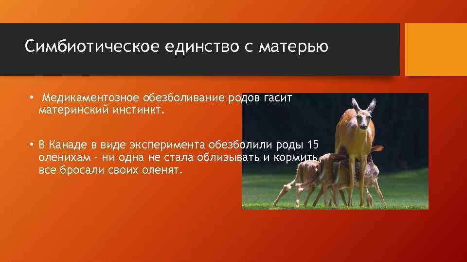 Симбиотическое единство с матерью • Медикаментозное обезболивание родов гасит материнский инстинкт. • В Канаде