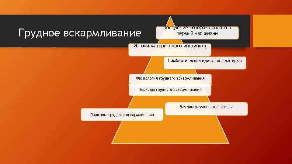 Грудное вскармливание Поведение новорожденного в первый час жизни Истоки материнского инстинкта Симбиотическое единство с