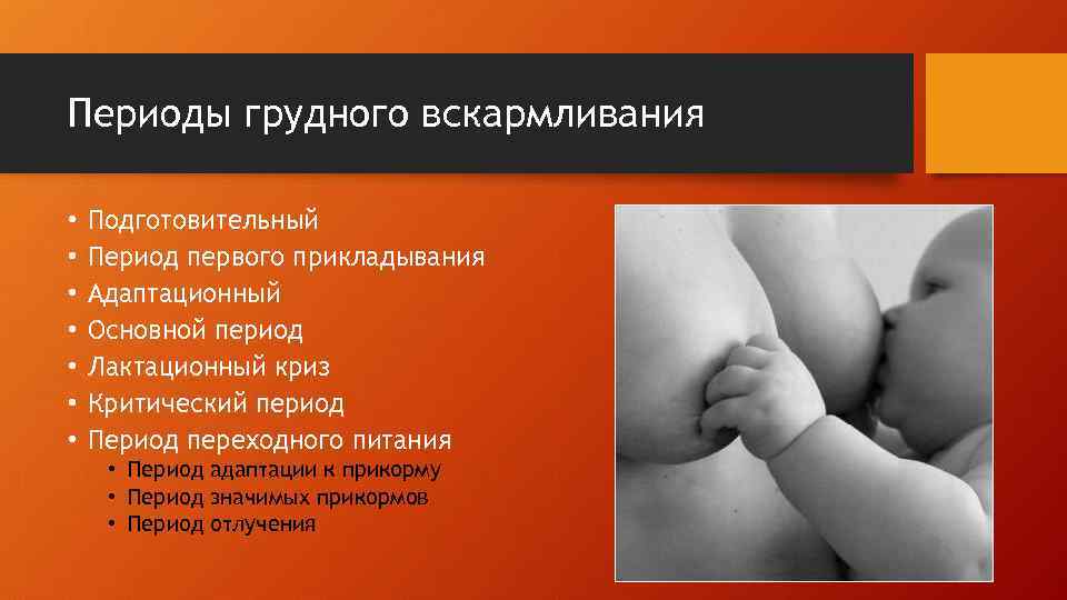 Периоды грудного вскармливания • • Подготовительный Период первого прикладывания Адаптационный Основной период Лактационный криз