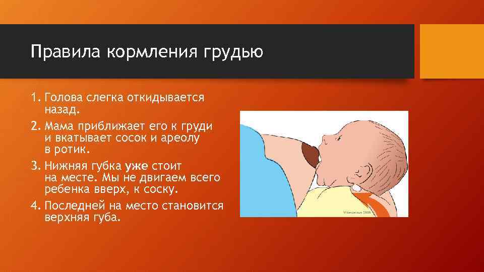 Правила кормления грудью 1. Голова слегка откидывается назад. 2. Мама приближает его к груди