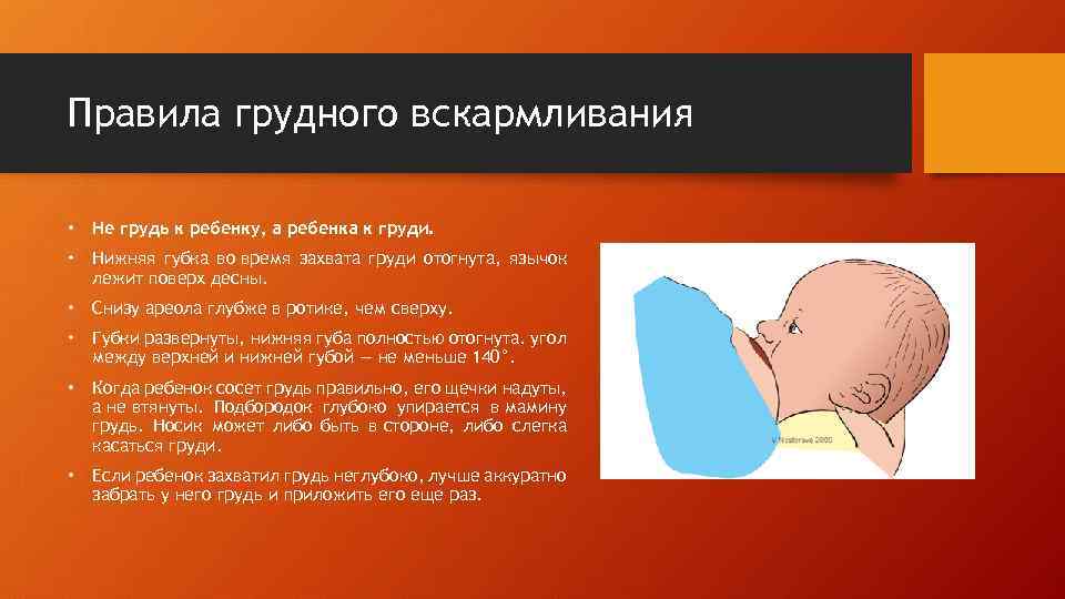 Правила грудного вскармливания • Не грудь к ребенку, а ребенка к груди. • Нижняя