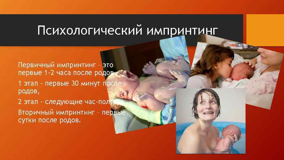 Психологический импринтинг Первичный импринтинг – это первые 1 -2 часа после родов. 1 этап