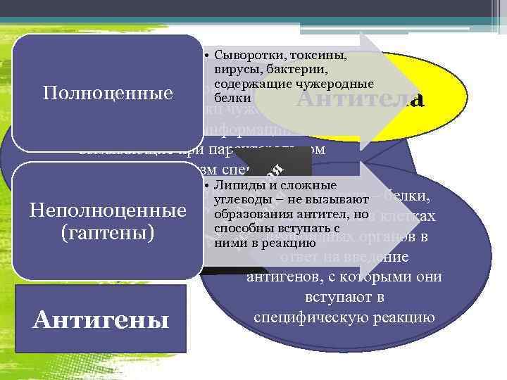  • Сыворотки, токсины, вирусы, бактерии, содержащие чужеродные Вещества белковой природы, Полноценные белки А