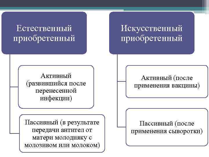 Естественный приобретенный Активный (развившийся после перенесенной инфекции) Пассивный (в результате передачи антител от матери