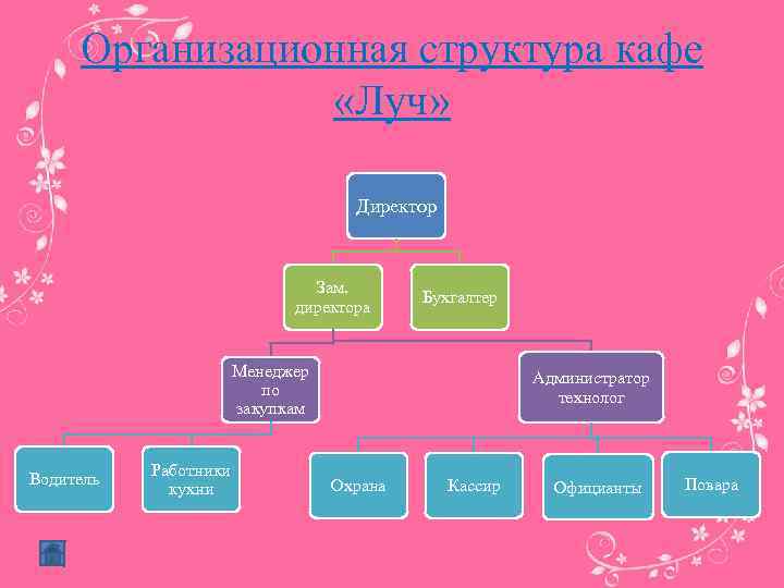 Организационная структура кафе «Луч» Директор Зам. директора Бухгалтер Менеджер по закупкам Водитель Работники кухни