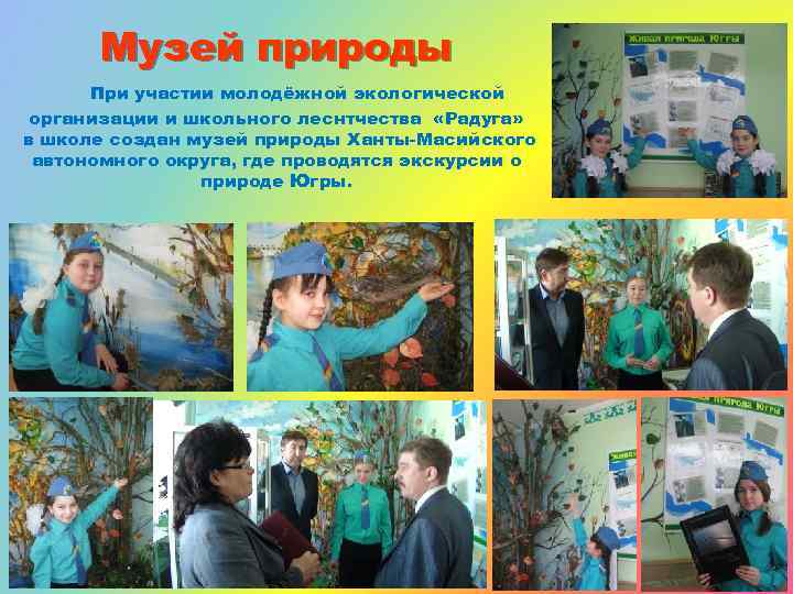 Музей природы При участии молодёжной экологической организации и школьного леснтчества «Радуга» в школе создан