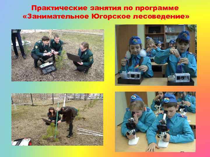 Практические занятия по программе «Занимательное Югорское лесоведение» 