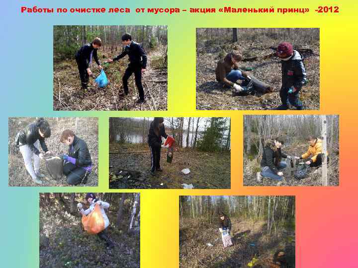 Работы по очистке леса от мусора – акция «Маленький принц» -2012 