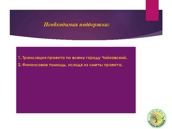 Необходимая поддержка: 1. Трансляция проекта по всему городу Чайковский. 2. Финансовая помощь, исходя из