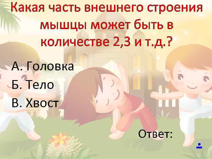 Какая часть внешнего строения мышцы может быть в количестве 2, 3 и т. д.