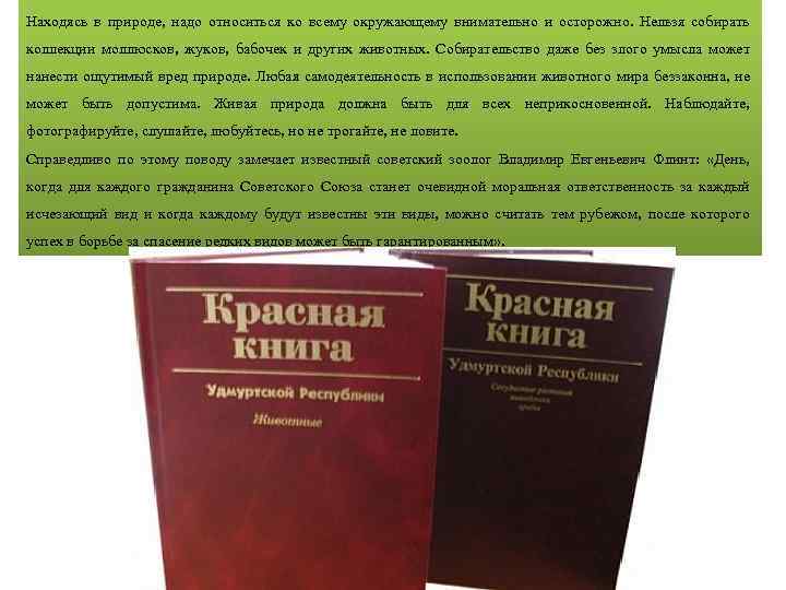 Находясь в природе, надо относиться ко всему окружающему внимательно и осторожно. Нельзя собирать коллекции