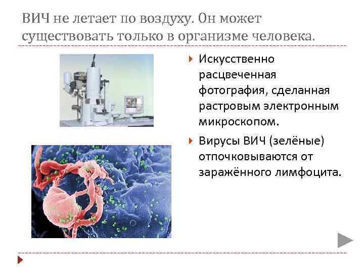 ВИЧ не летает по воздуху. Он может существовать только в организме человека. Искусственно расцвеченная