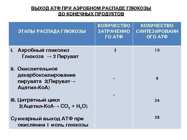 Этапы аэробного распада глюкозы